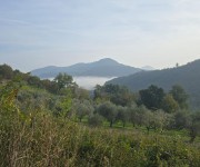 img wa0057